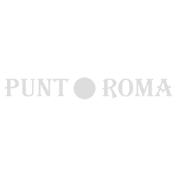 1582219655cloud-computing-logo-punt-roma