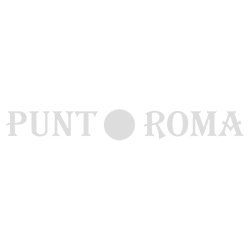 1582219655cloud-computing-logo-punt-roma
